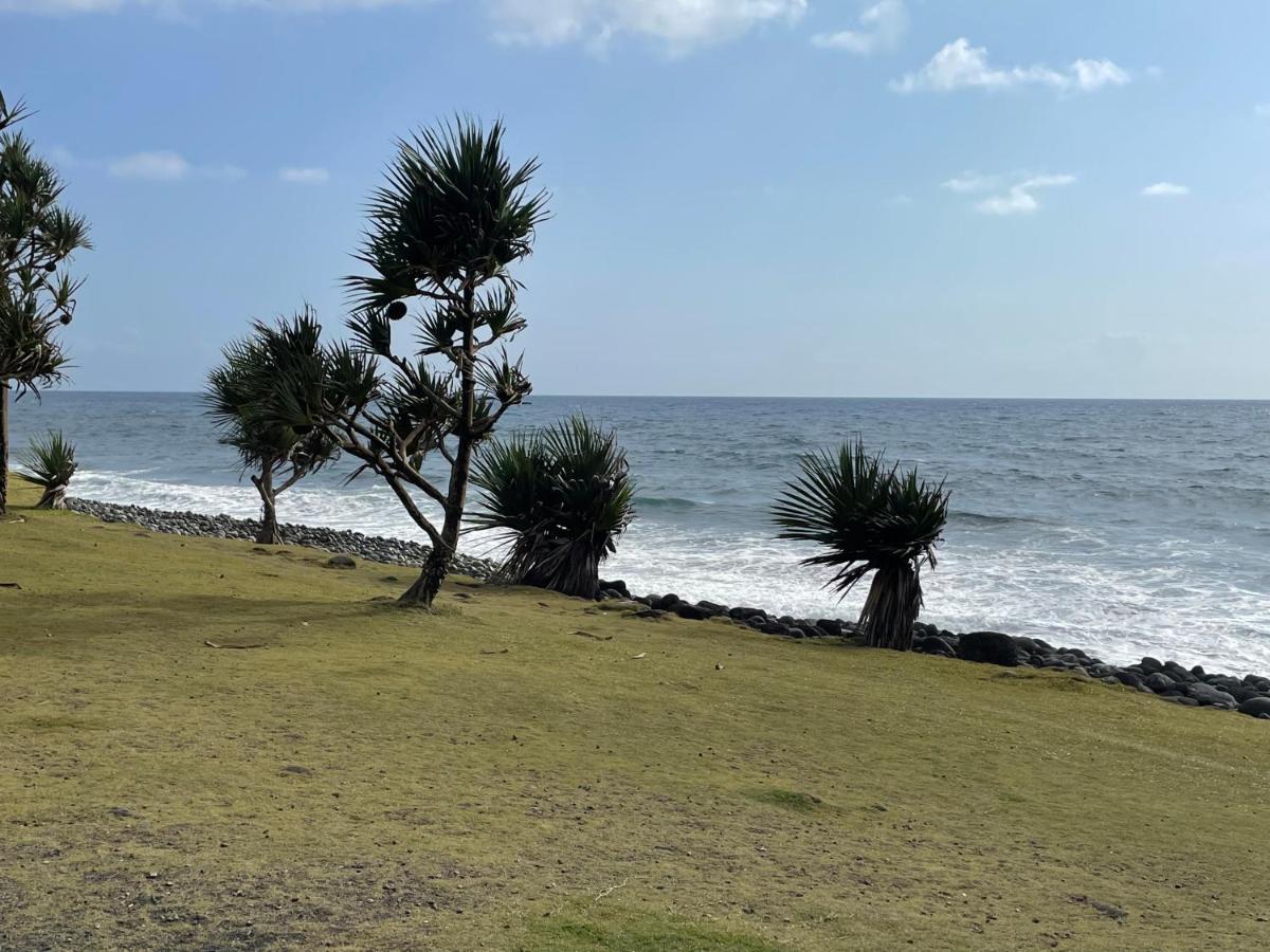 Arbre A Pain Otel Bras-Panon Dış mekan fotoğraf