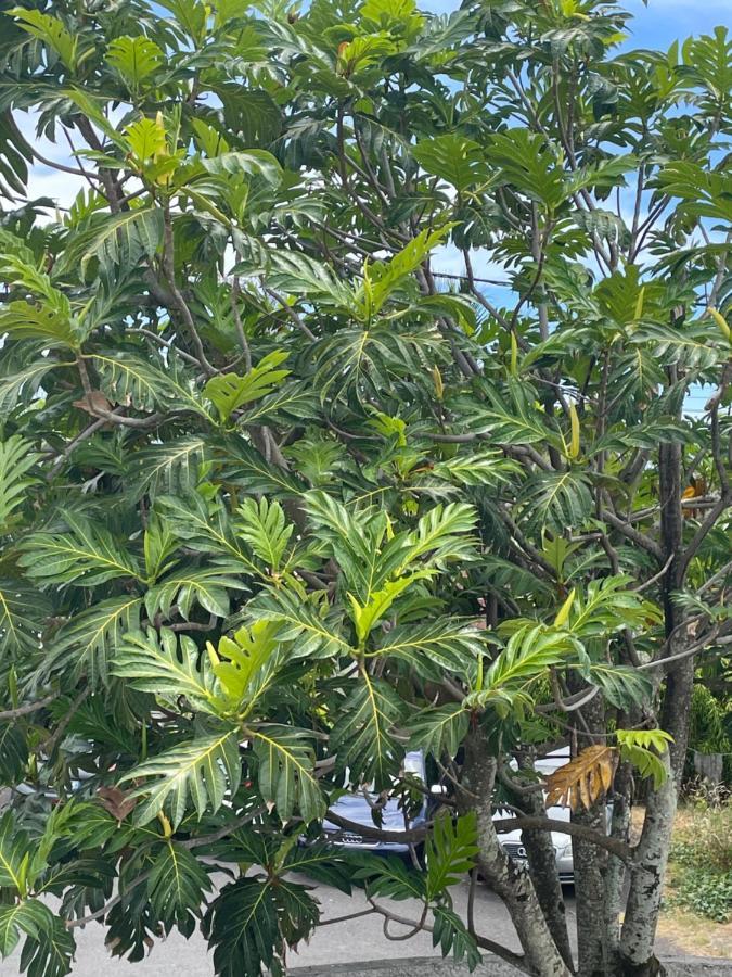 Arbre A Pain Otel Bras-Panon Dış mekan fotoğraf
